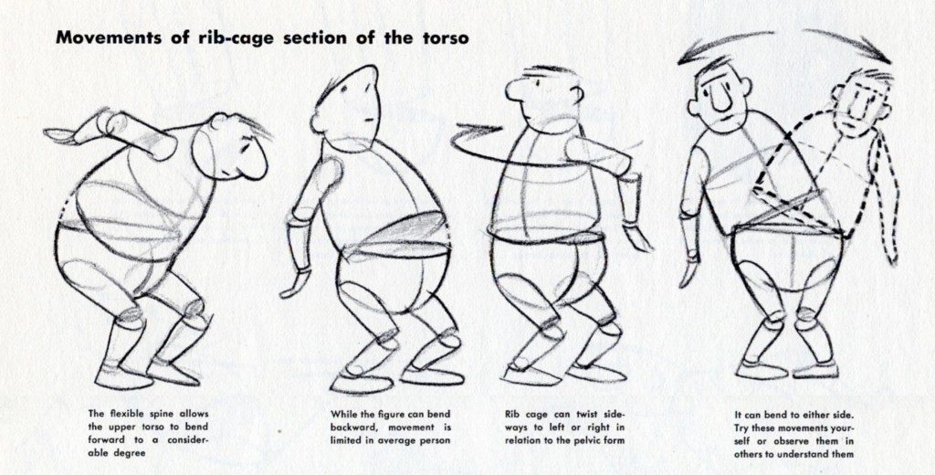 Learn to Draw Cartoons Lesson 2 The Comic Figure