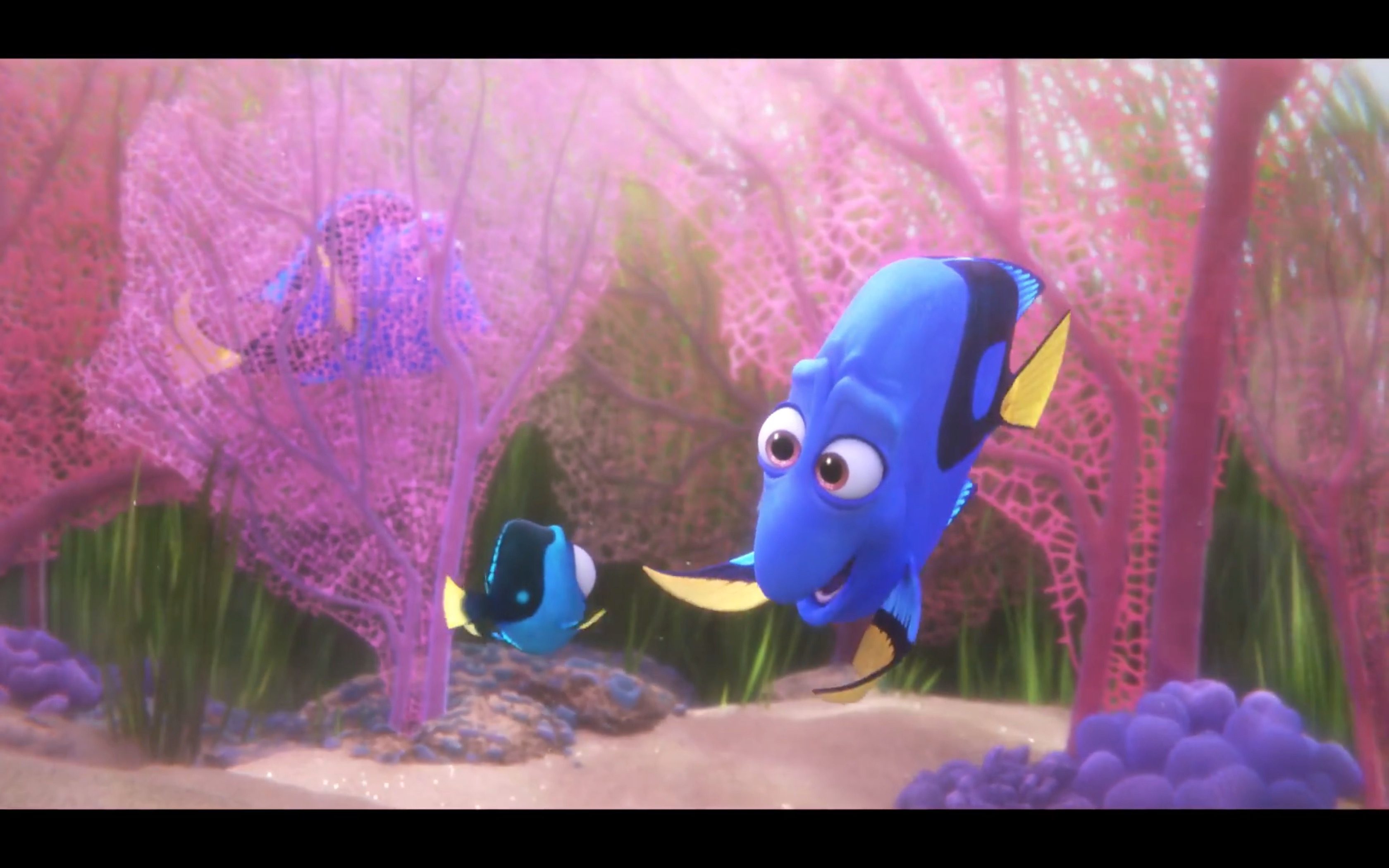 Finding Dory: Meet Baby Dory