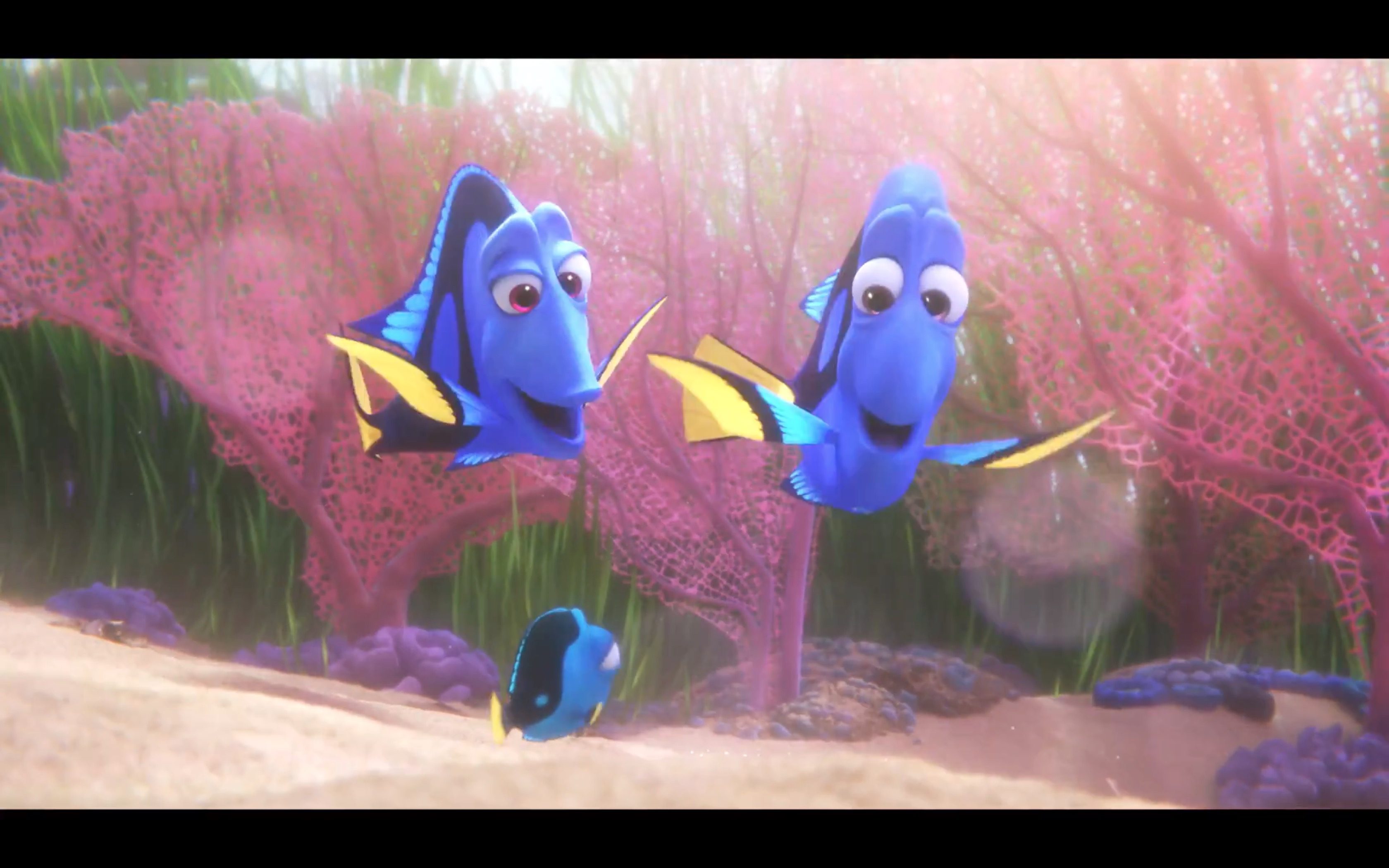 Finding Dory: Meet Baby Dory