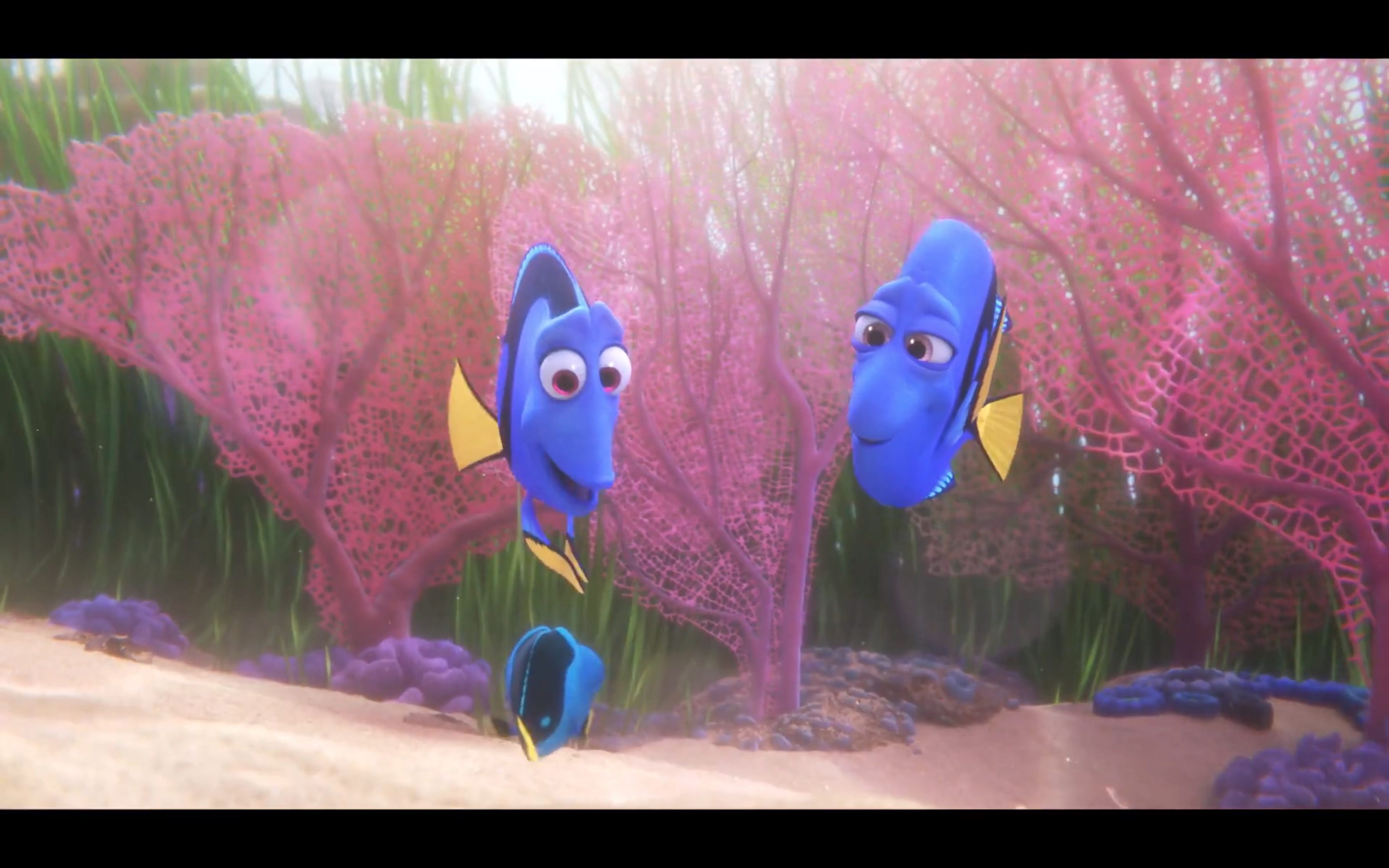 Finding Dory: Meet Baby Dory