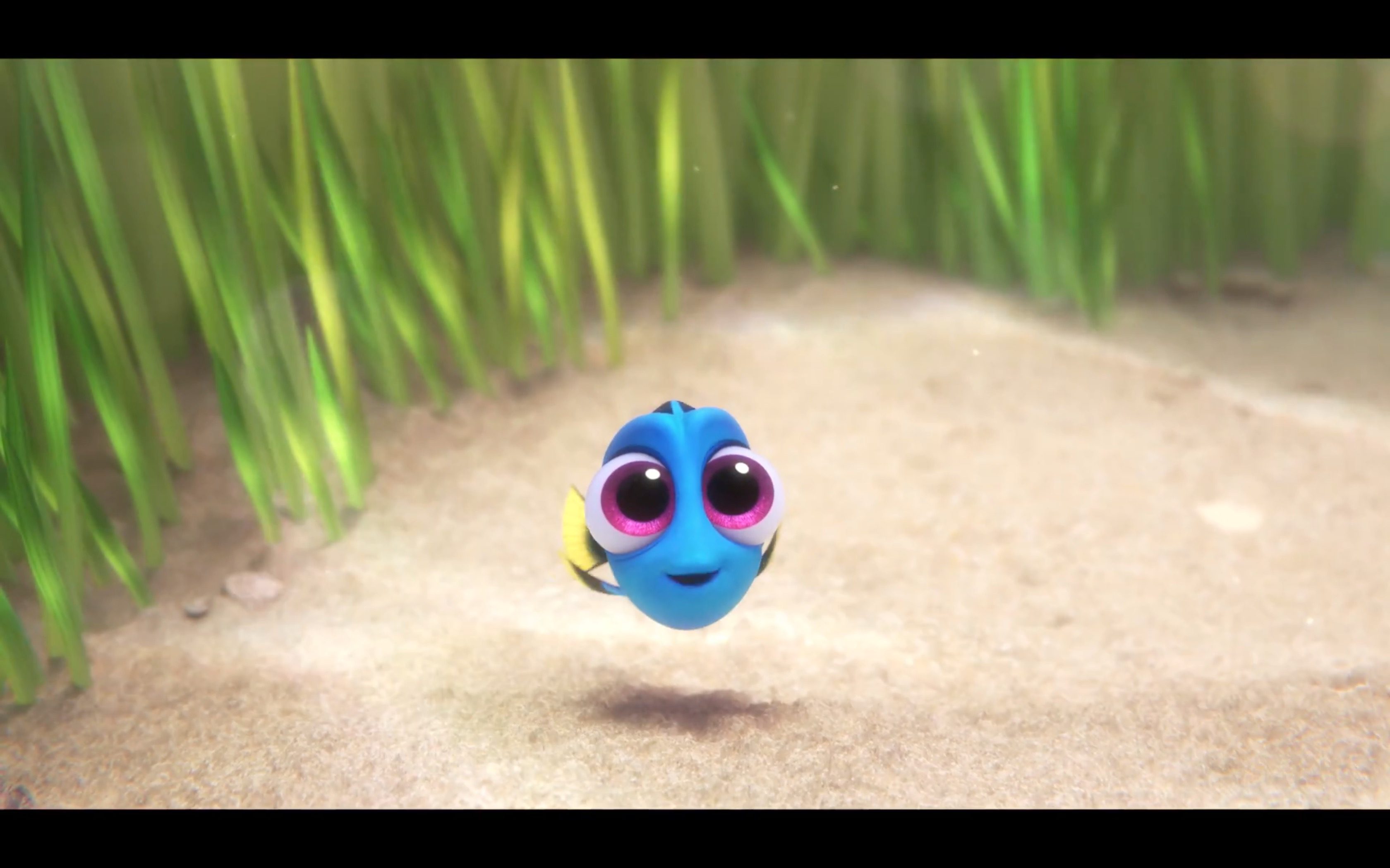 Finding Dory: Meet Baby Dory