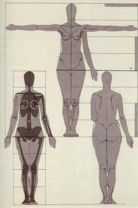 character-design-female-anatomy55