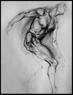 character-male-anatomy18