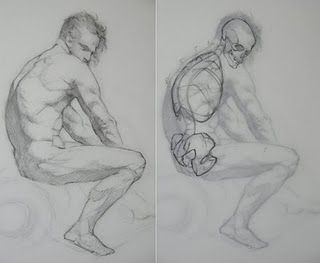 character-male-anatomy6