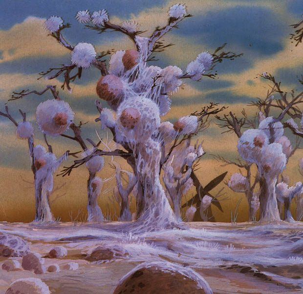 nausicaa-original-ca5