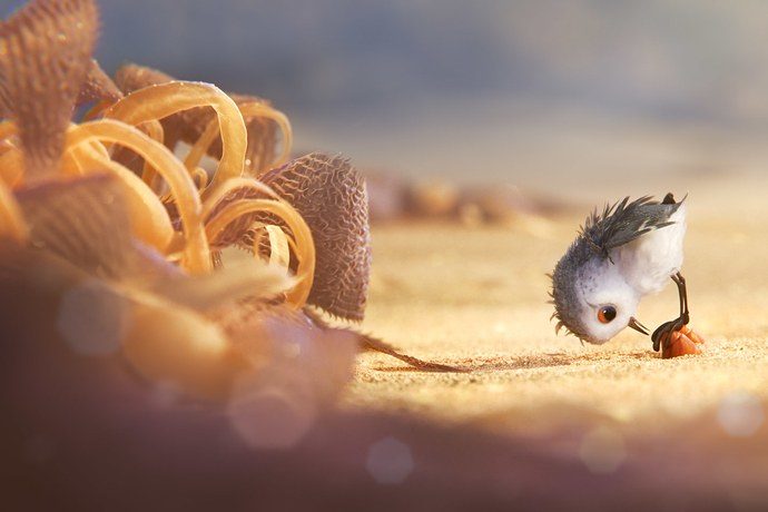 Pixar Short: Piper Concept Art