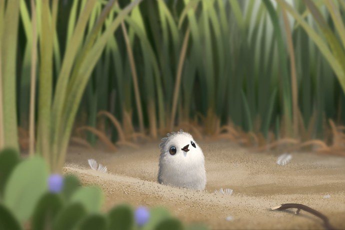 Pixar Short: Piper Concept Art