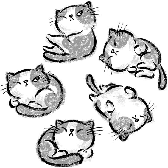 references-cats12