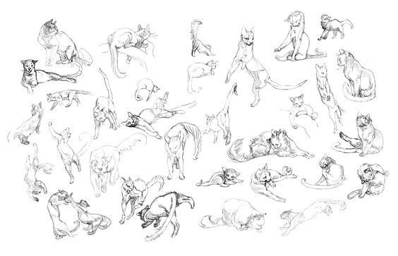 references-cats38