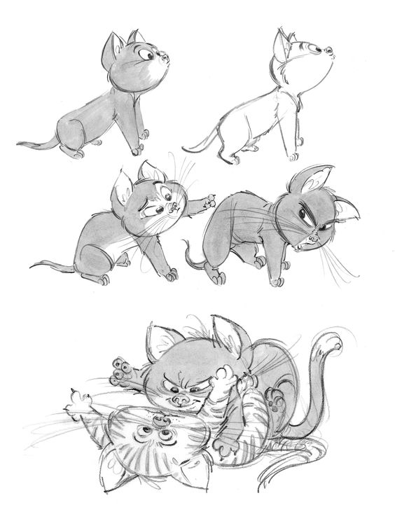 references-cats44