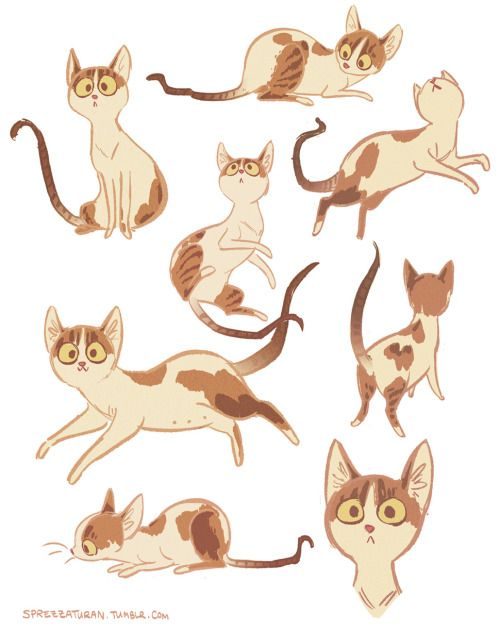 references-cats8