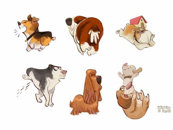 references-dogs15