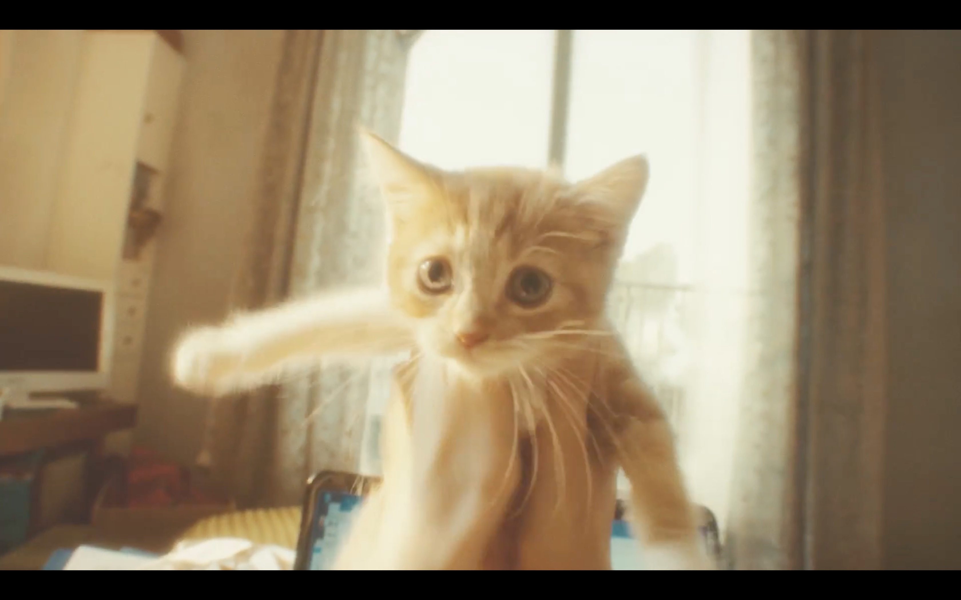 Gravity Rush 2 Live Action Trailer: Gravity Cat