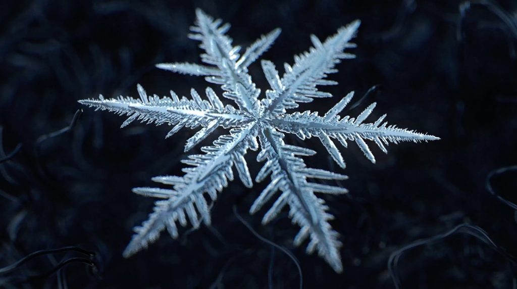 Creating A Procedural Snowflake in Houdini