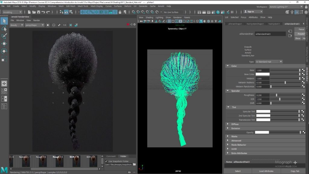  Understanding Standard Hair Shader in Arnold for Maya