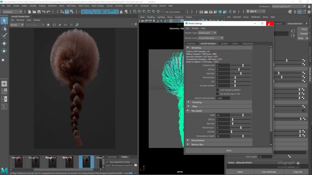  Understanding Standard Hair Shader in Arnold for Maya