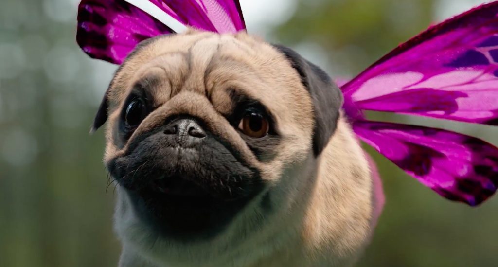 Making of Free Your Puggerfly