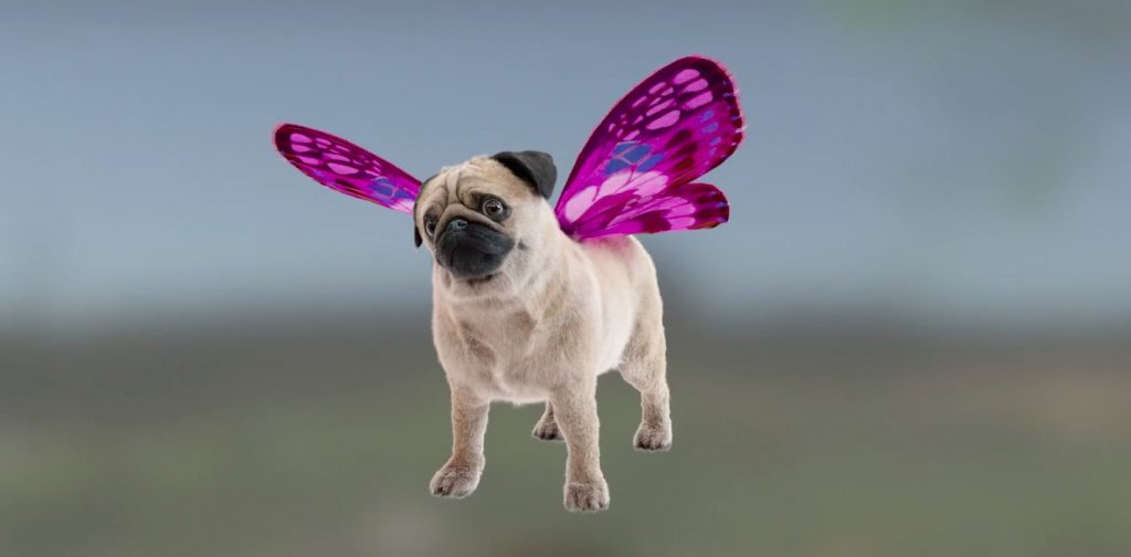 Making of Free Your Puggerfly