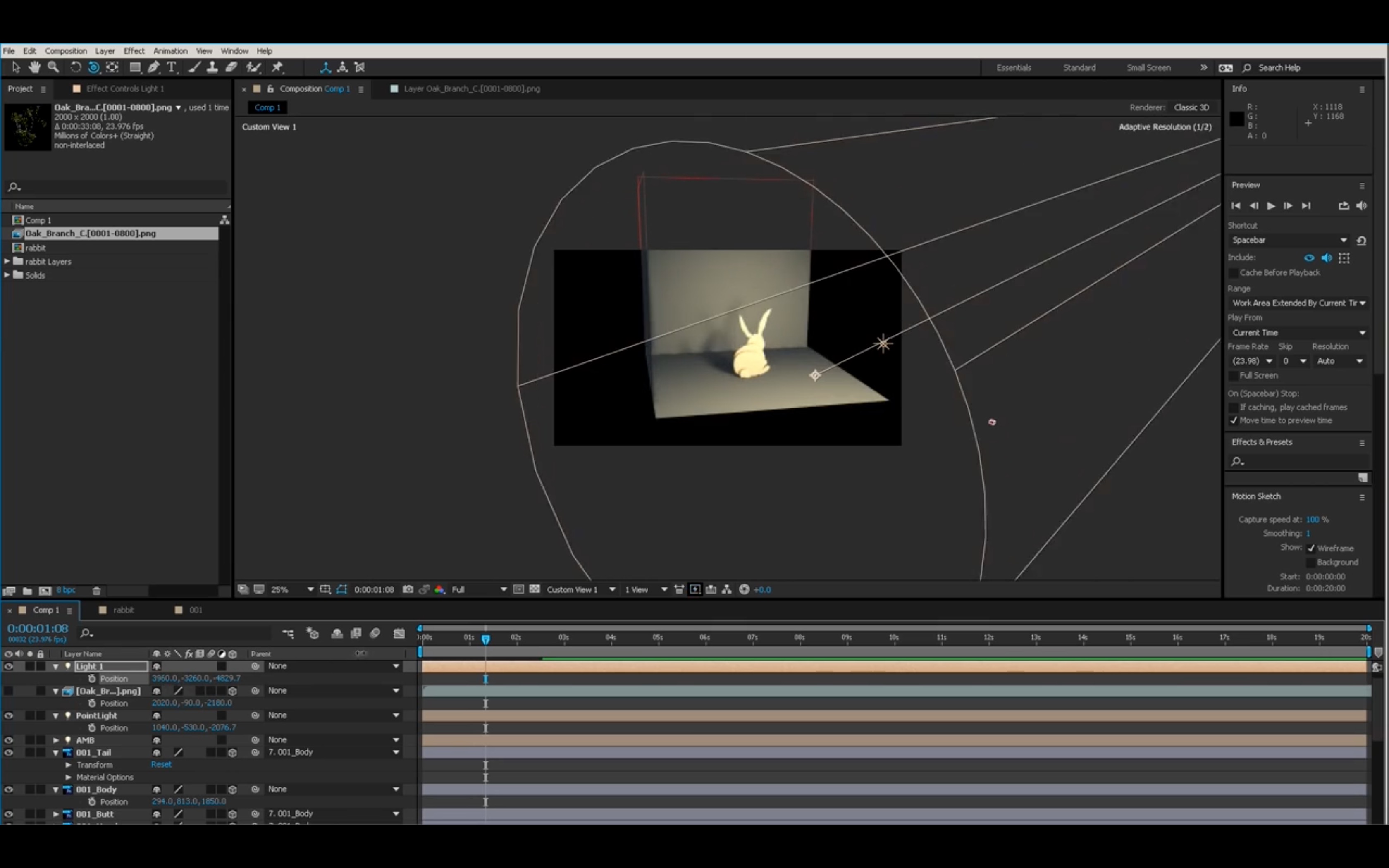 How To Bring a Forest to Life with Lights & Shadows