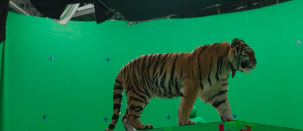 Making of Animal World