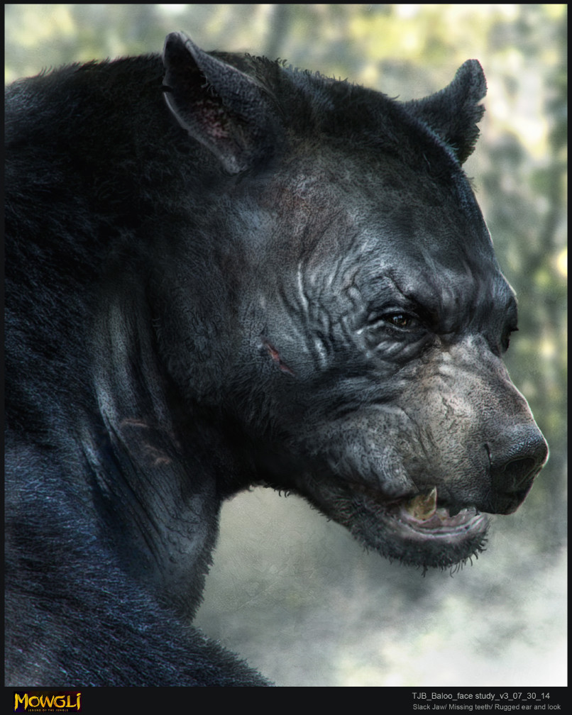The Art of Mowgli