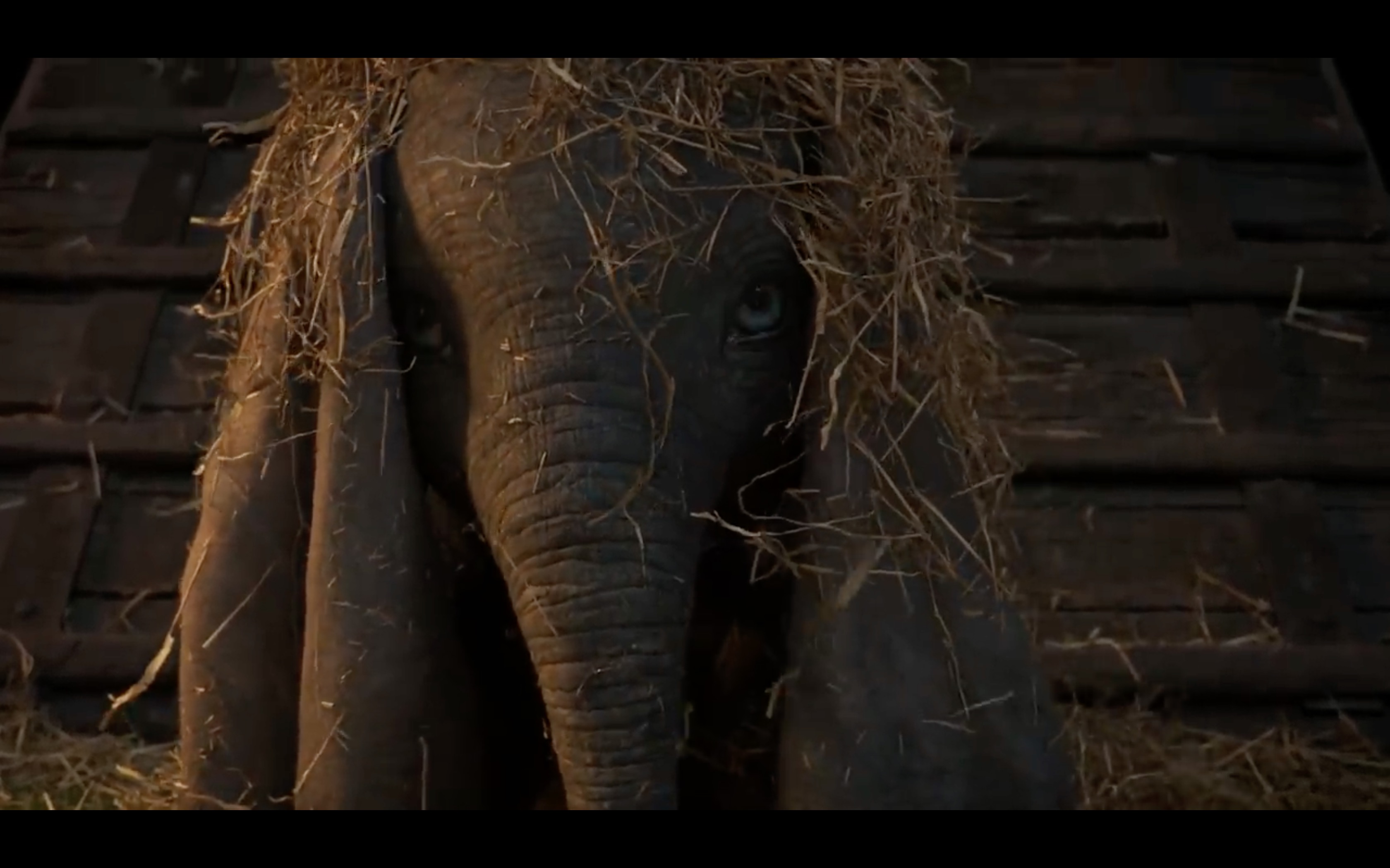 Tim Burton’ Dumbo New Official Trailer