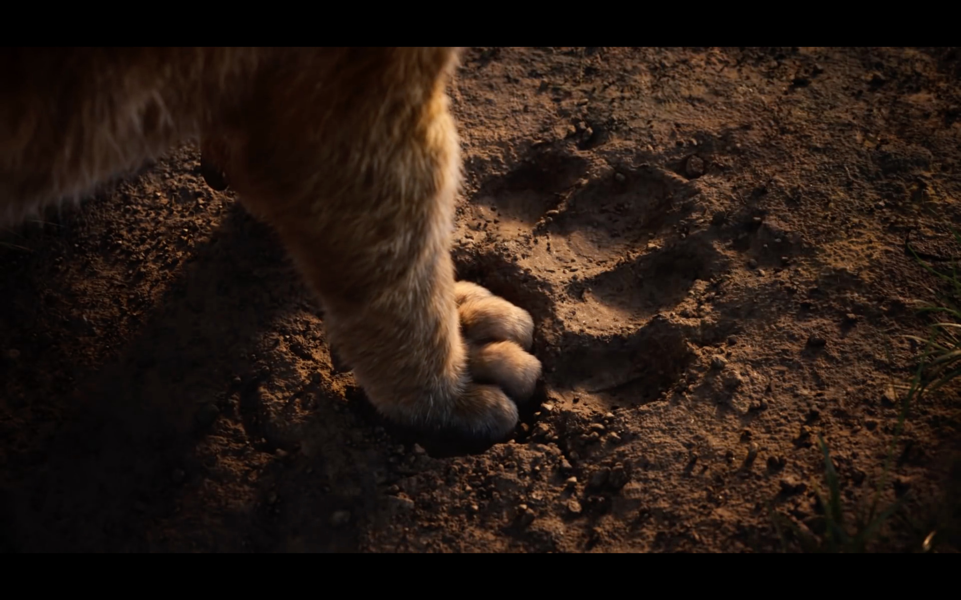 The Lion King Teaser: Long Live the King