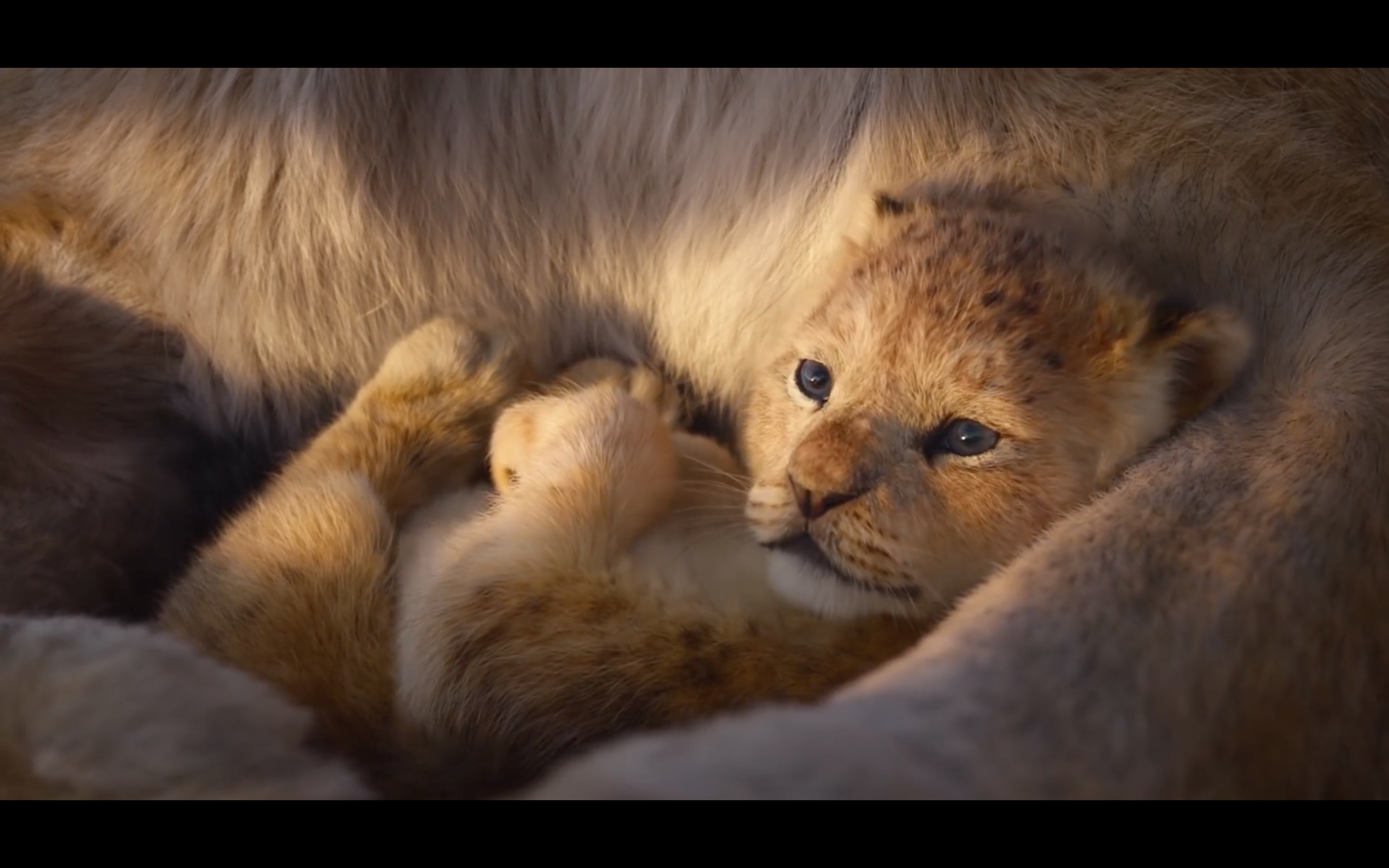 The Lion King Teaser: Long Live the King