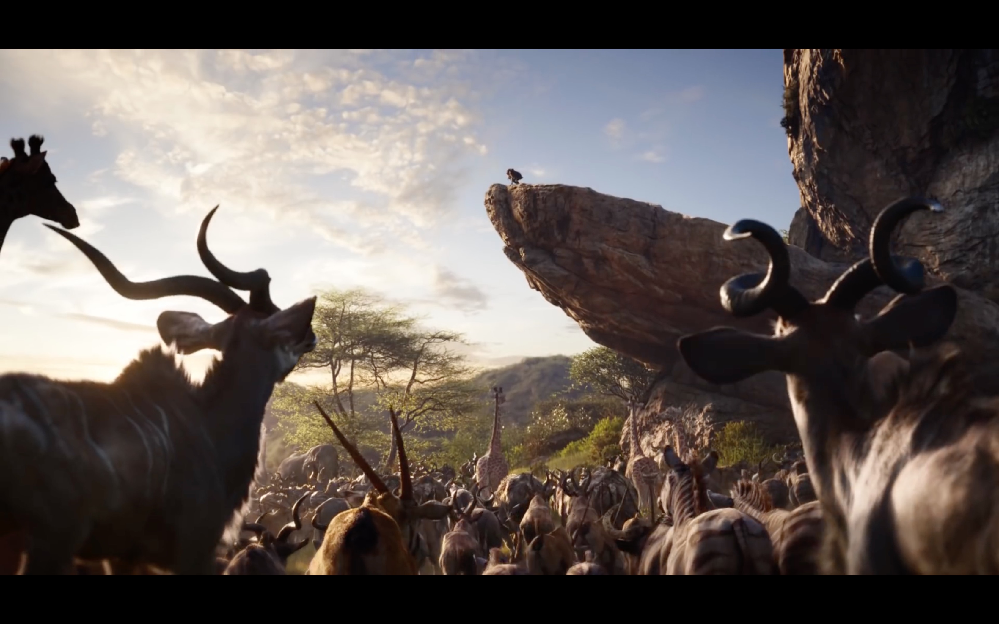 The Lion King Teaser: Long Live the King